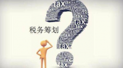 <b>企业进行税务筹划的形式有哪些</b>